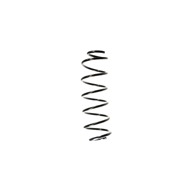 Ressort de suspension SPIDAN 55165