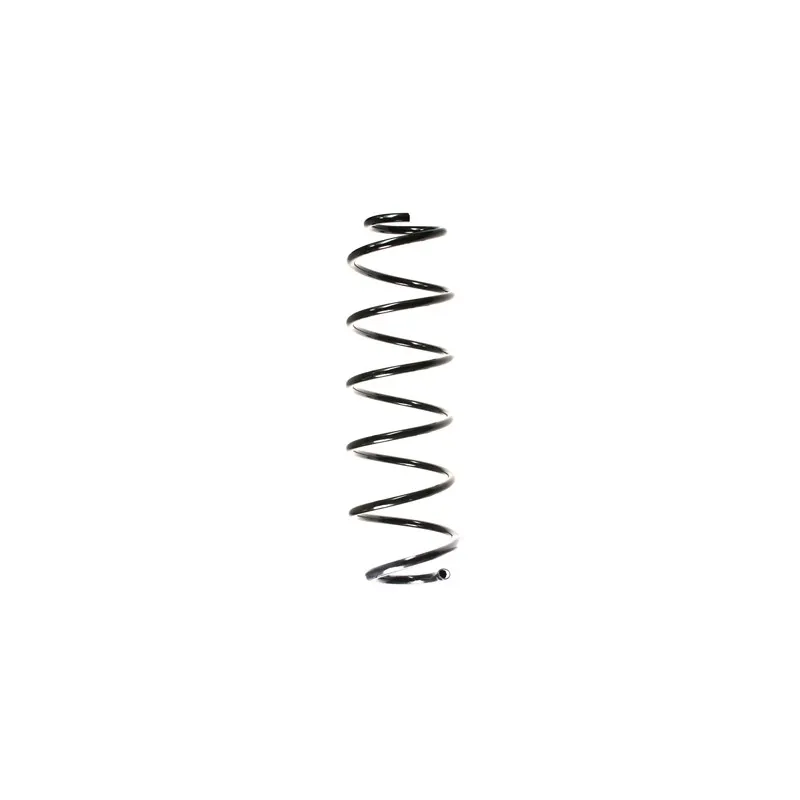 Ressort de suspension SPIDAN 55166