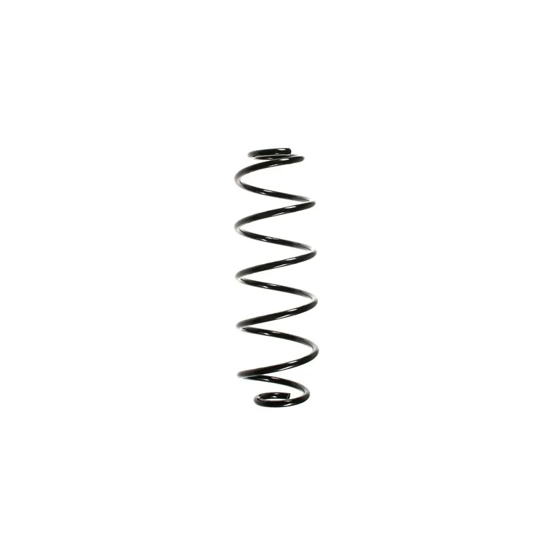 Ressort de suspension SPIDAN 55168