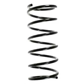 Ressort de suspension SPIDAN 55170