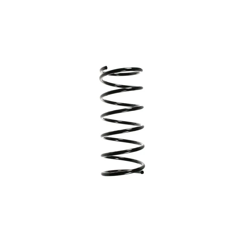Ressort de suspension SPIDAN 55170