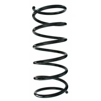 Ressort de suspension SPIDAN 55171