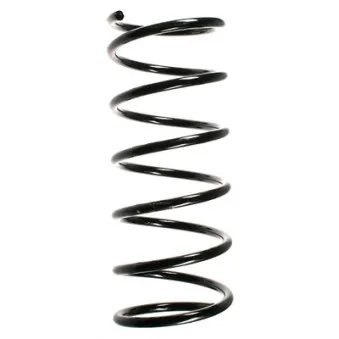 Ressort de suspension SPIDAN 55173