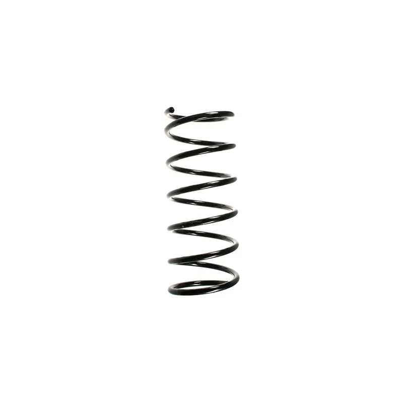 Ressort de suspension SPIDAN 55173