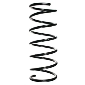 Ressort de suspension SPIDAN 55174