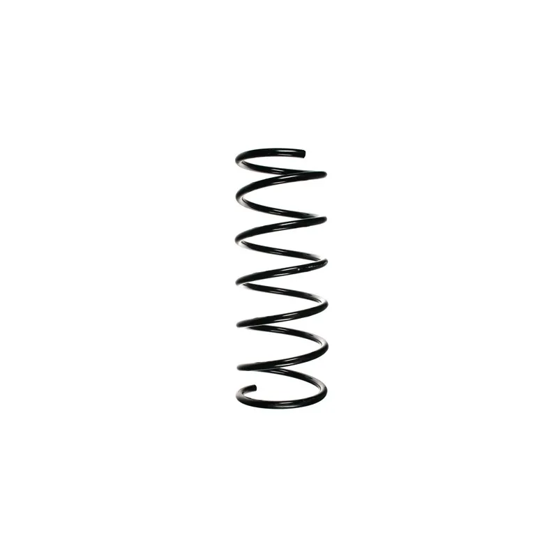 Ressort de suspension SPIDAN 55174