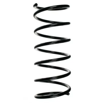 Ressort de suspension SPIDAN 55175
