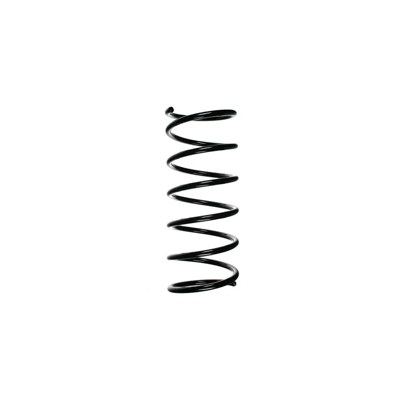 Ressort de suspension SPIDAN 55175
