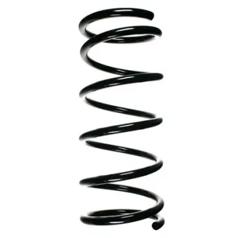 Ressort de suspension SPIDAN 55179