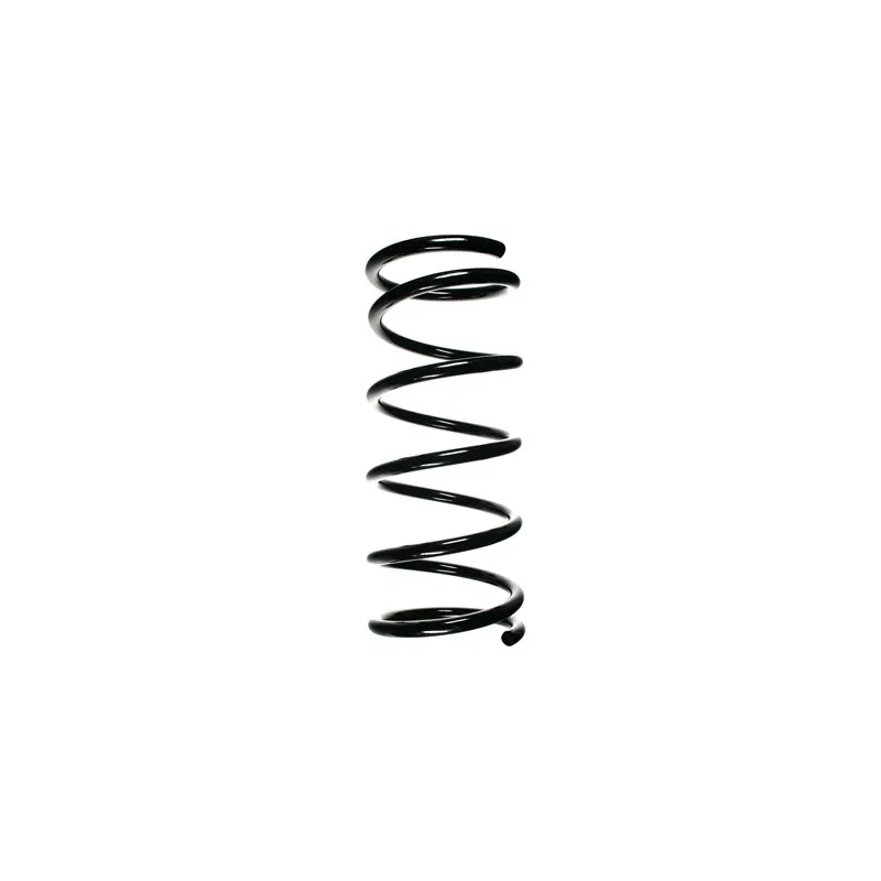 Ressort de suspension SPIDAN 55179