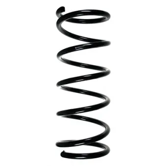 Ressort de suspension SPIDAN 55180