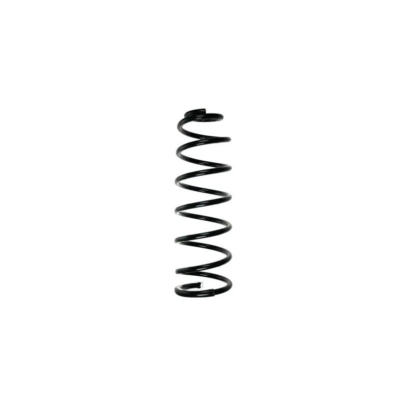 Ressort de suspension SPIDAN 55186
