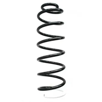 Ressort de suspension SPIDAN 55187