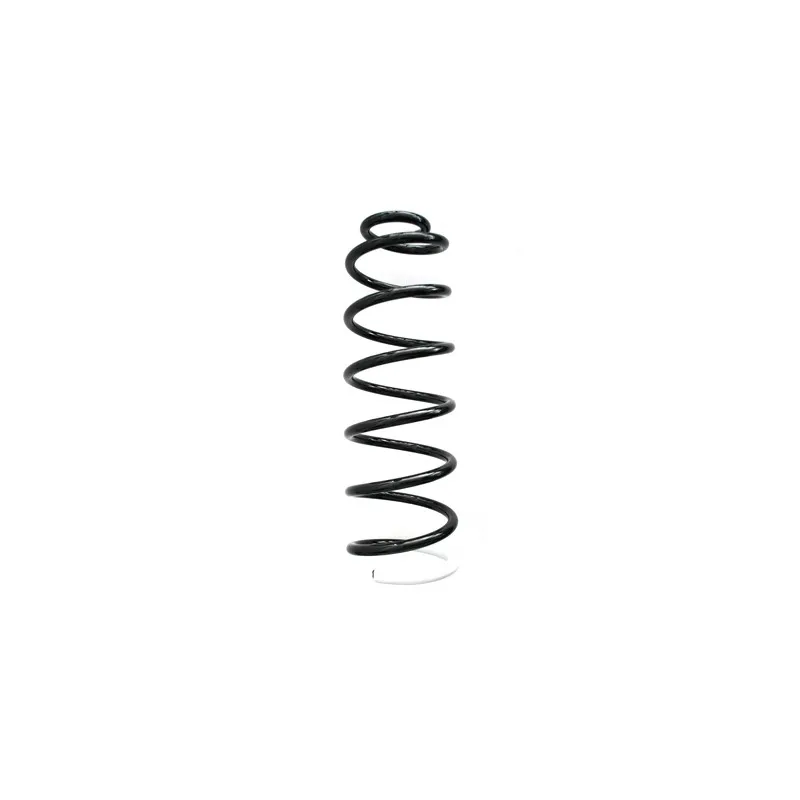 Ressort de suspension SPIDAN 55187