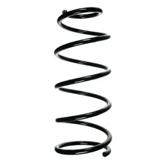 Ressort de suspension SPIDAN 55191