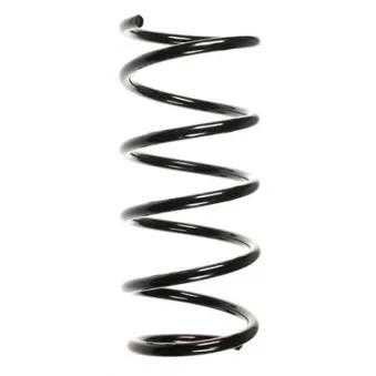 Ressort de suspension SPIDAN 55201