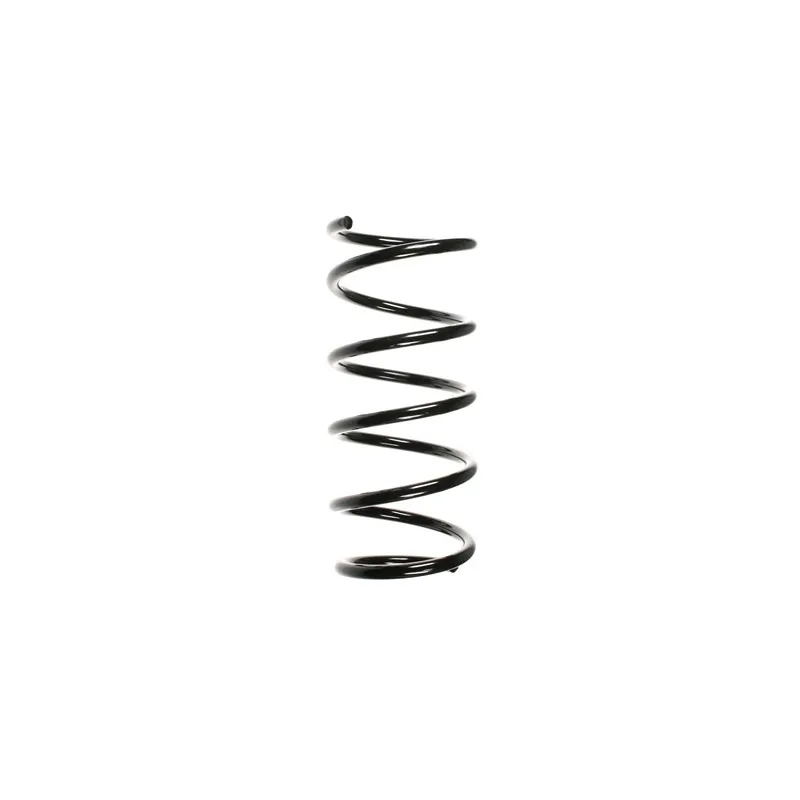 Ressort de suspension SPIDAN 55201