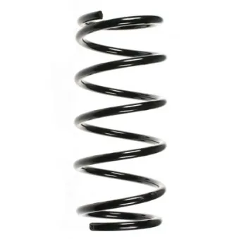 Ressort de suspension SPIDAN 55202