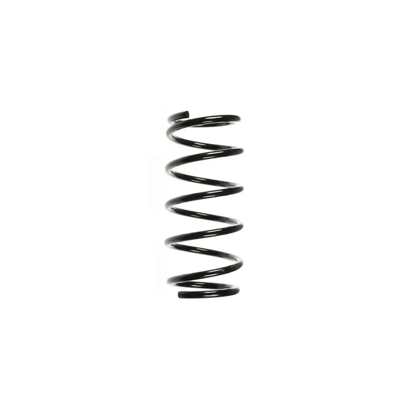 Ressort de suspension SPIDAN 55202