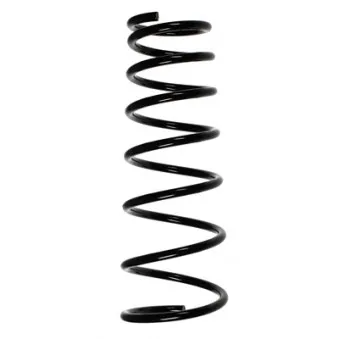 Ressort de suspension SPIDAN 55204