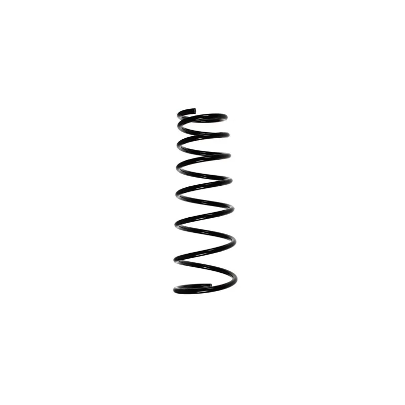 Ressort de suspension SPIDAN 55204