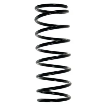 Ressort de suspension SPIDAN 55206