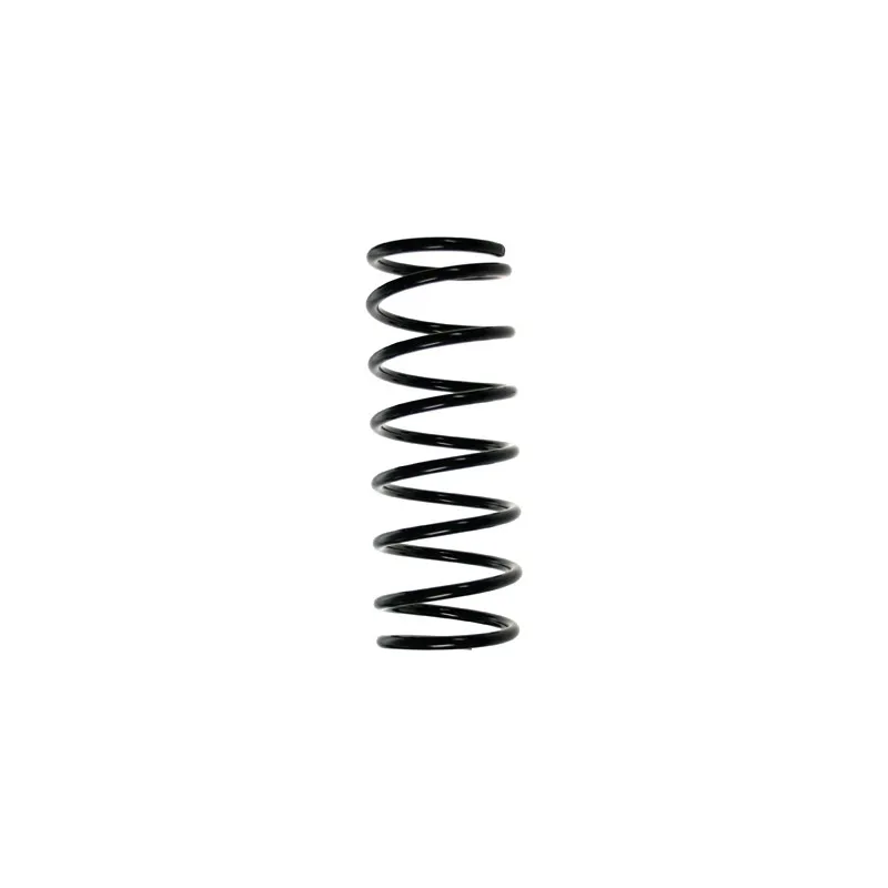Ressort de suspension SPIDAN 55206