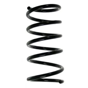 Ressort de suspension SPIDAN 55207