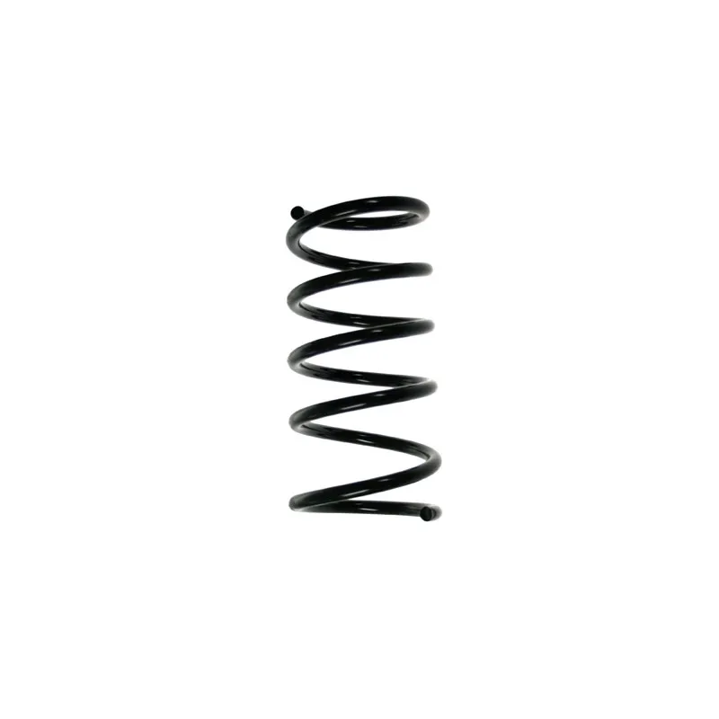 Ressort de suspension SPIDAN 55207