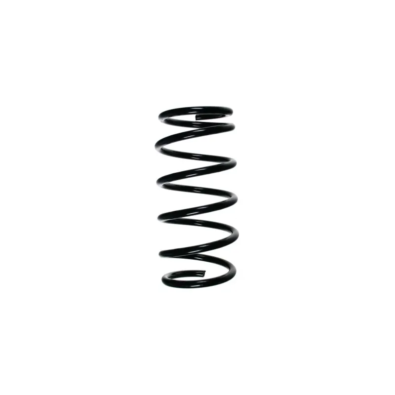 Ressort de suspension SPIDAN 55208