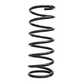 Ressort de suspension SPIDAN 55211