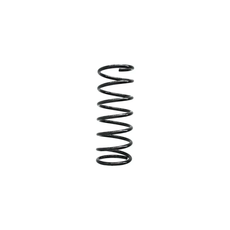 Ressort de suspension SPIDAN 55211