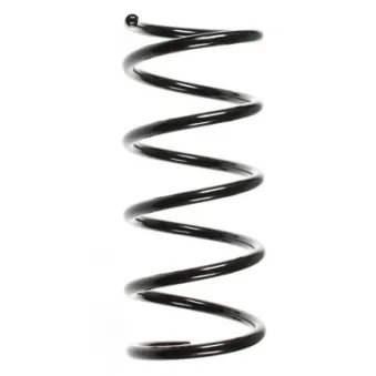 Ressort de suspension SPIDAN 55218