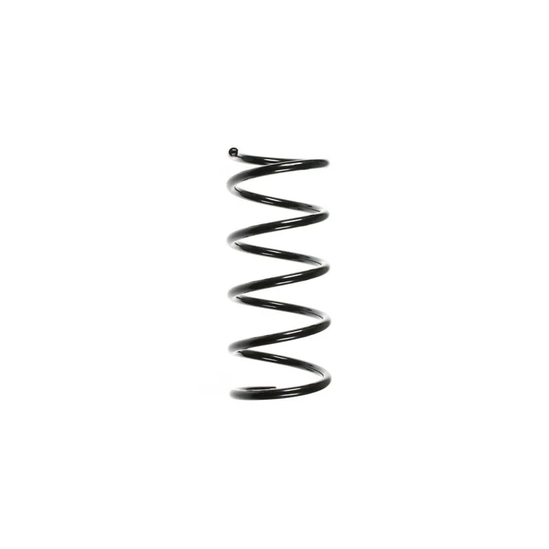 Ressort de suspension SPIDAN 55218
