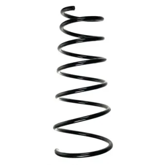Ressort de suspension SPIDAN 55219