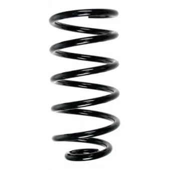 Ressort de suspension SPIDAN 55223