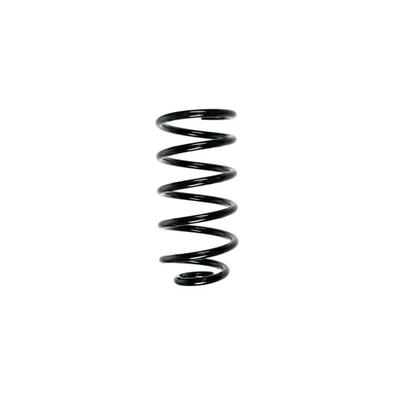 Ressort de suspension SPIDAN 55223
