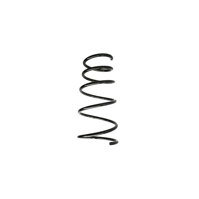 Ressort de suspension SPIDAN 55229