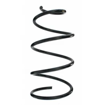Ressort de suspension SPIDAN 55231