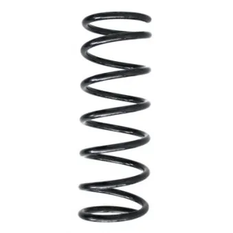 Ressort de suspension SPIDAN 55232