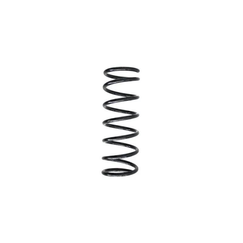 Ressort de suspension SPIDAN 55232