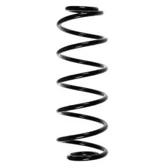 Ressort de suspension SPIDAN 55234