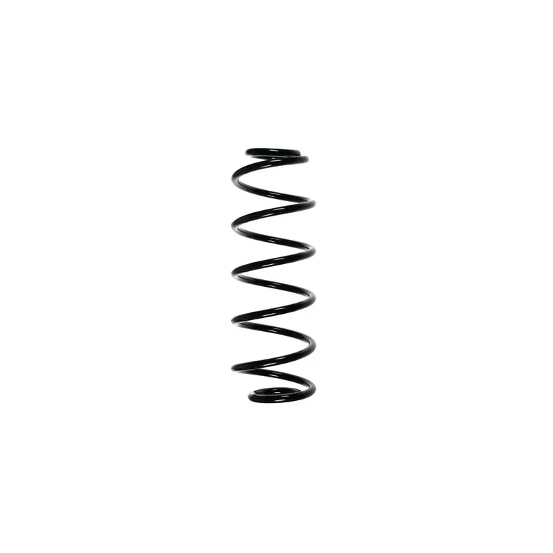 Ressort de suspension SPIDAN 55234