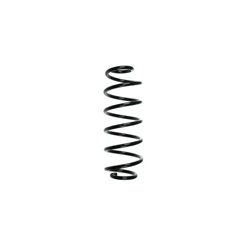Ressort de suspension SPIDAN 55235