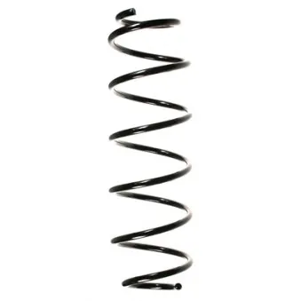 Ressort de suspension SPIDAN 55237