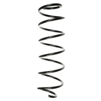 Ressort de suspension SPIDAN 55240