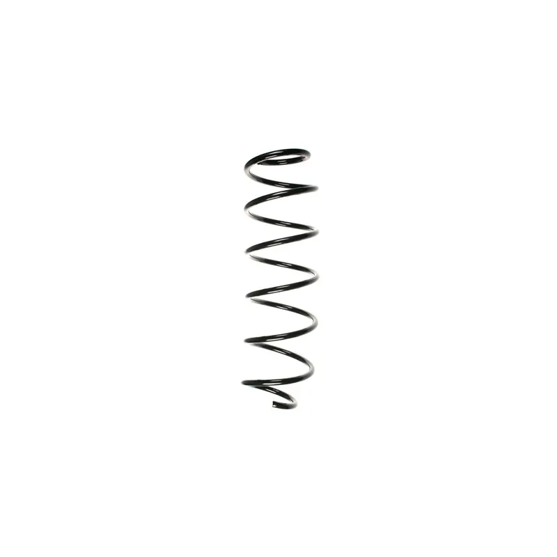 Ressort de suspension SPIDAN 55240