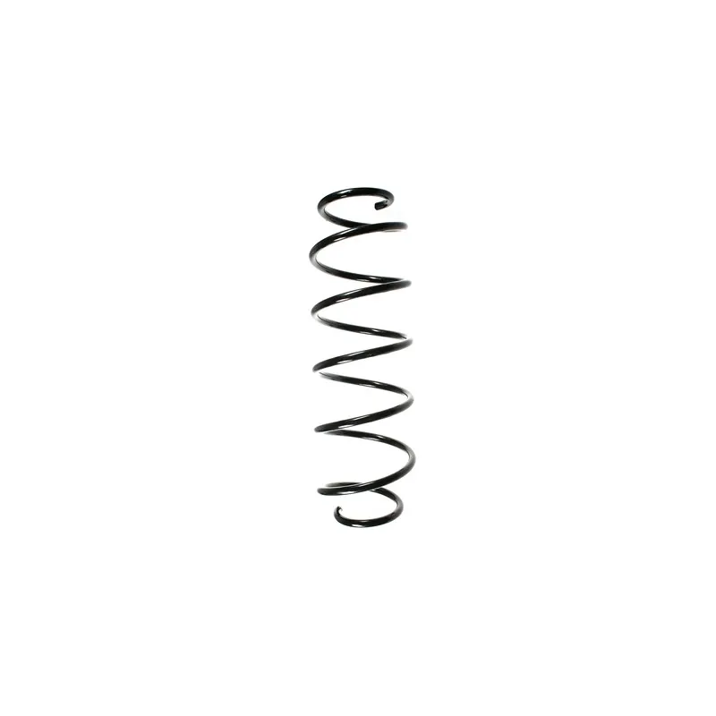 Ressort de suspension SPIDAN 55241