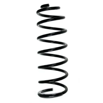 Ressort de suspension SPIDAN 55244