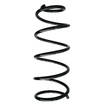 Ressort de suspension SPIDAN 55246